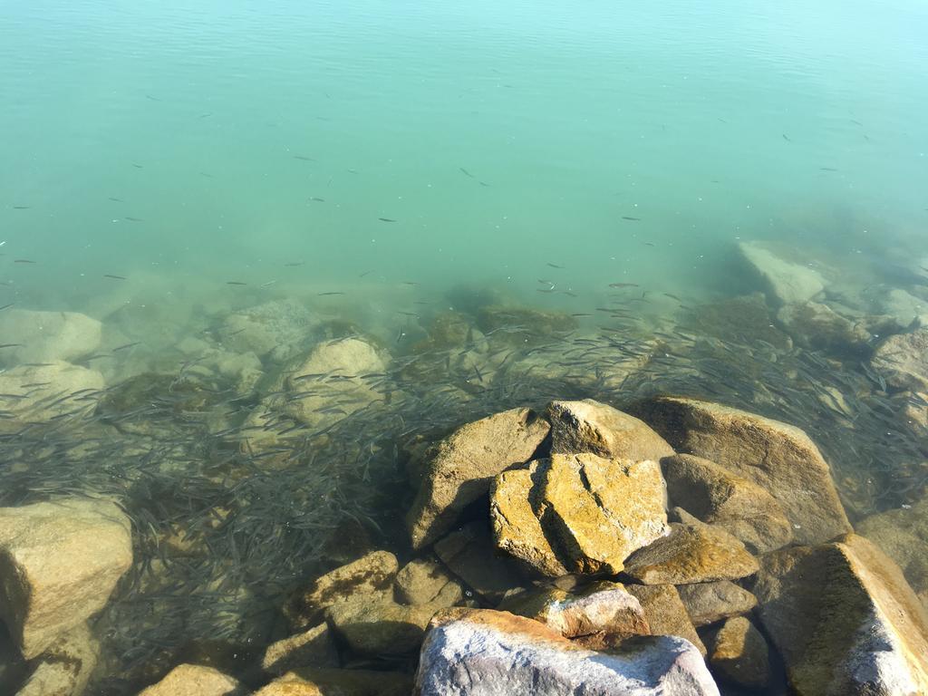 Cuki Apartmanok Siófok Exteriér fotografie